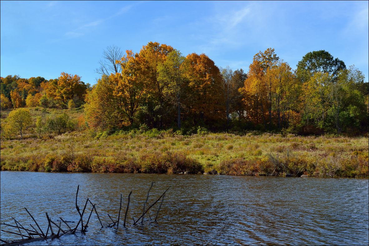 休闲随拍（285）