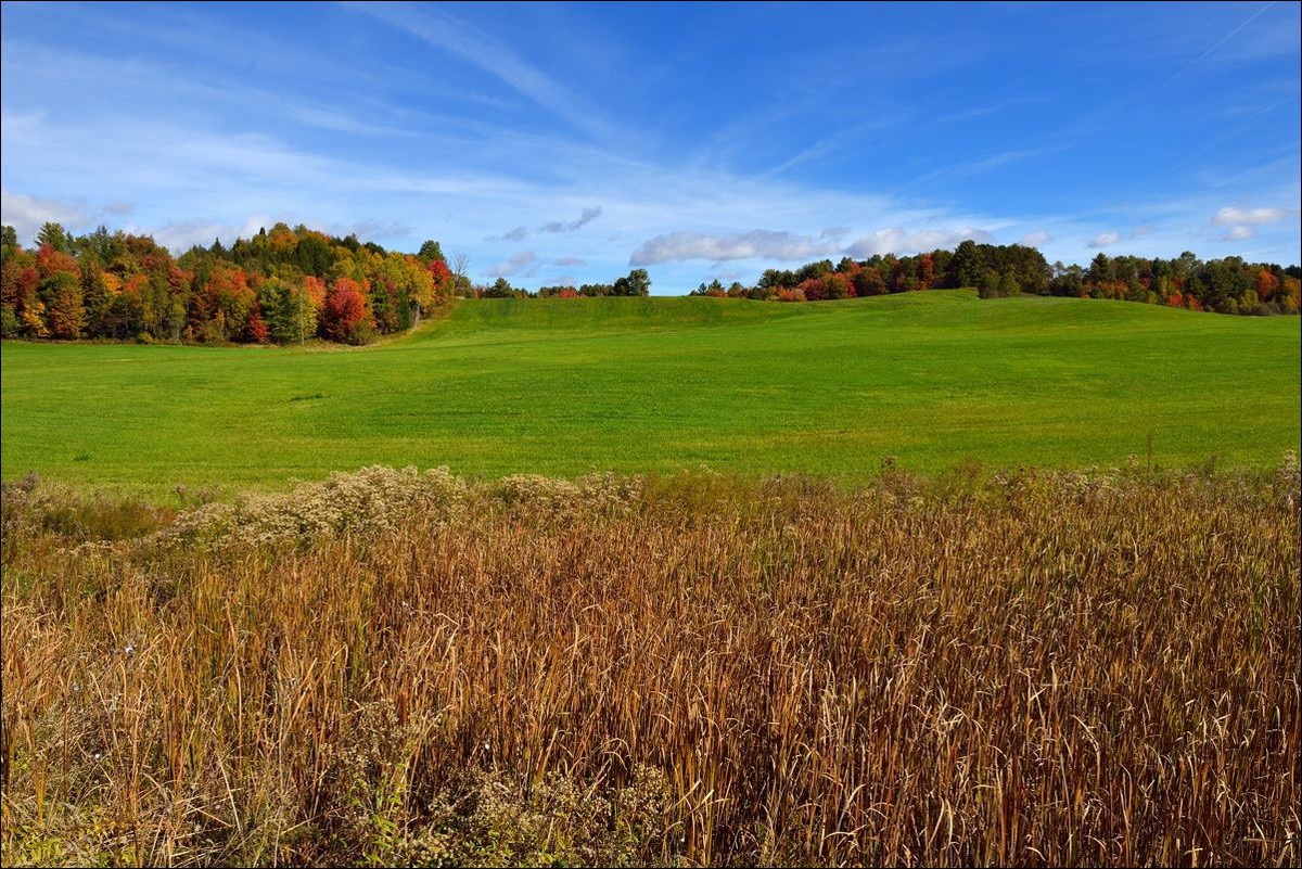 休闲随拍（285）