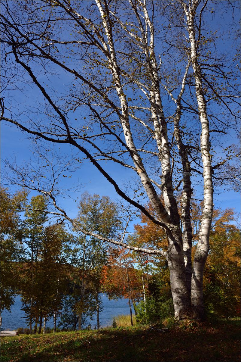 休闲随拍（285）