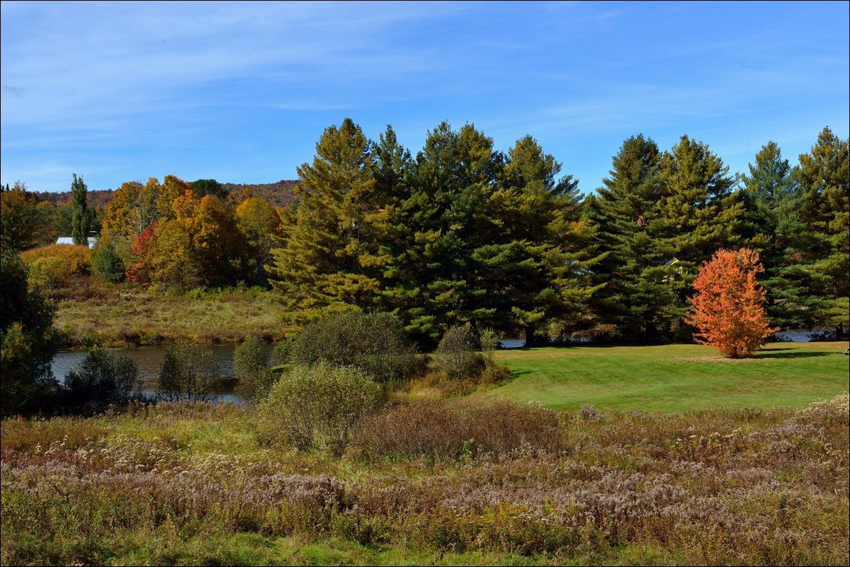 休闲随拍（285）