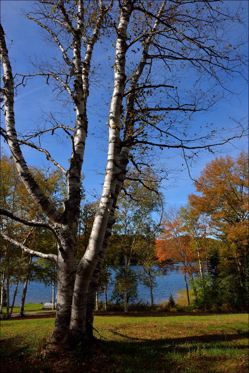 休闲随拍（285）