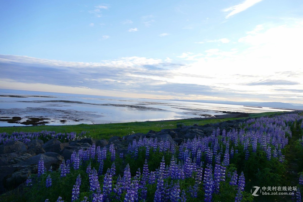 尼康D5300 18-105镜头下的风景