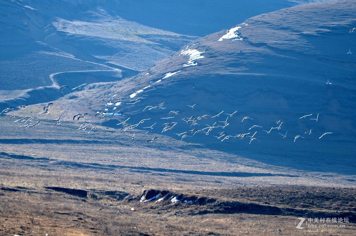 大山包文明用语黑颈鹤自然保护区