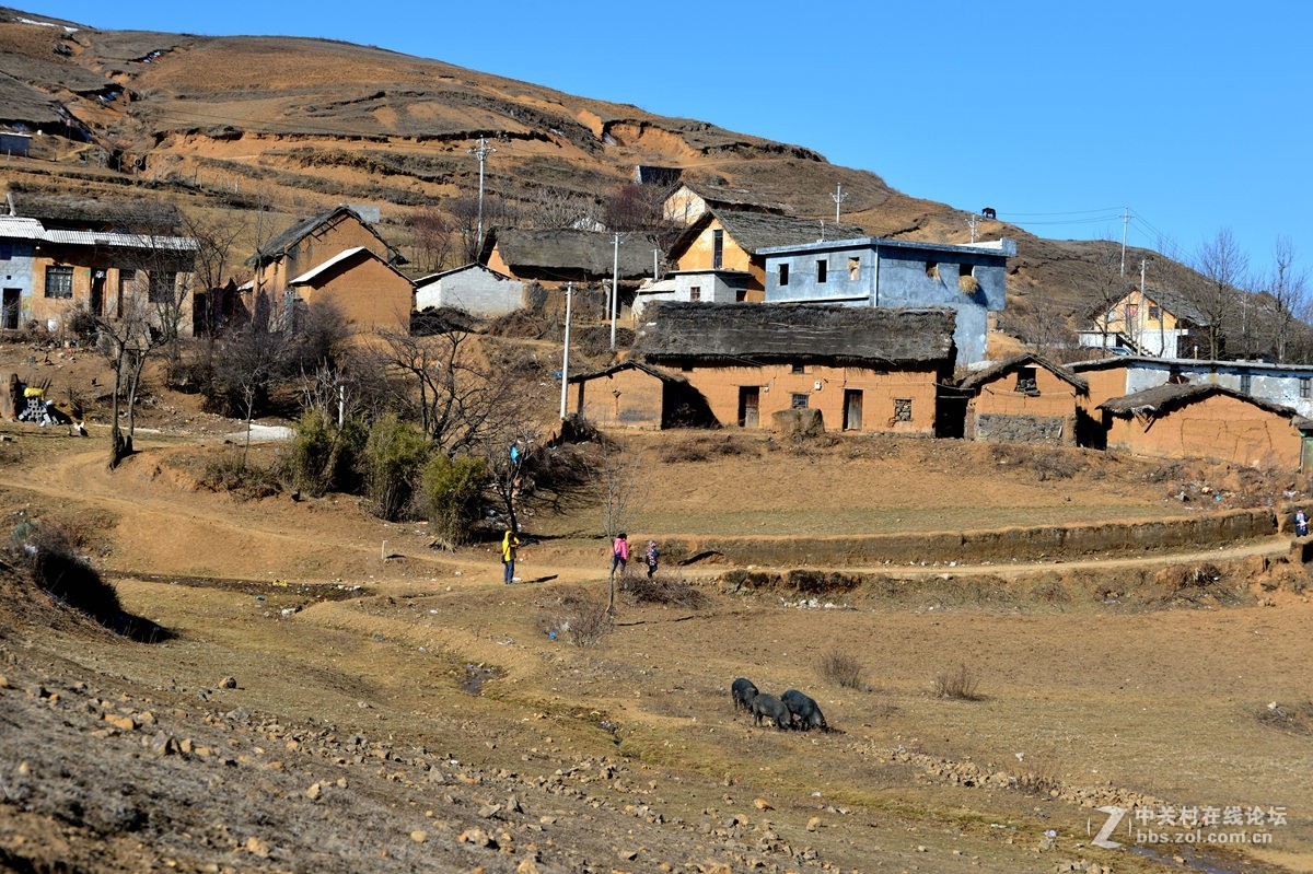 大山包文明用语黑颈鹤自然保护区