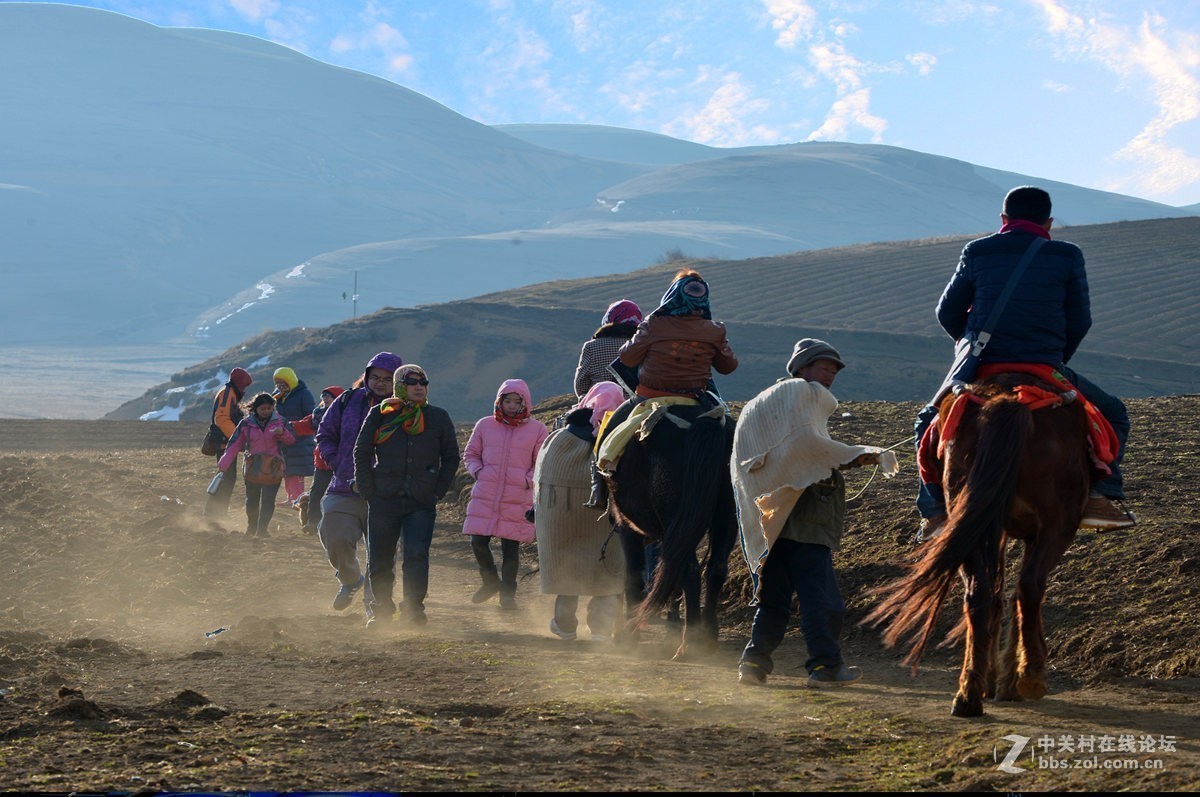 大山包文明用语黑颈鹤自然保护区