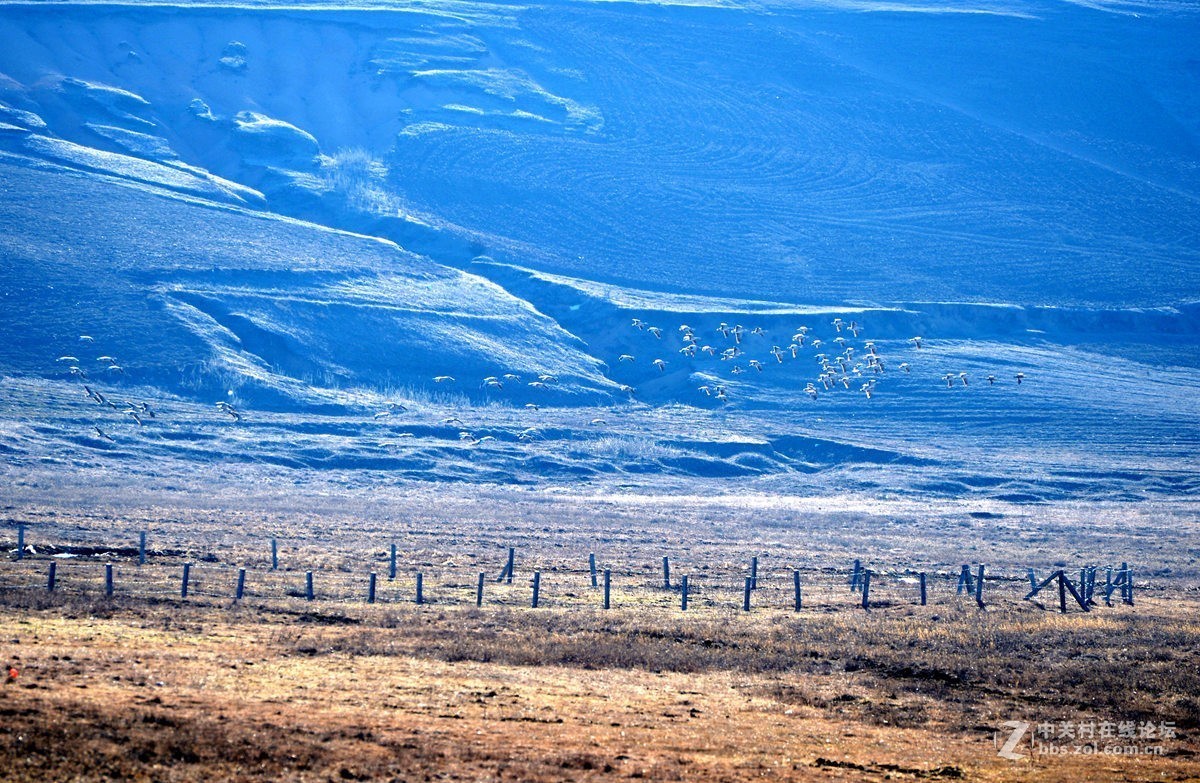大山包文明用语黑颈鹤自然保护区