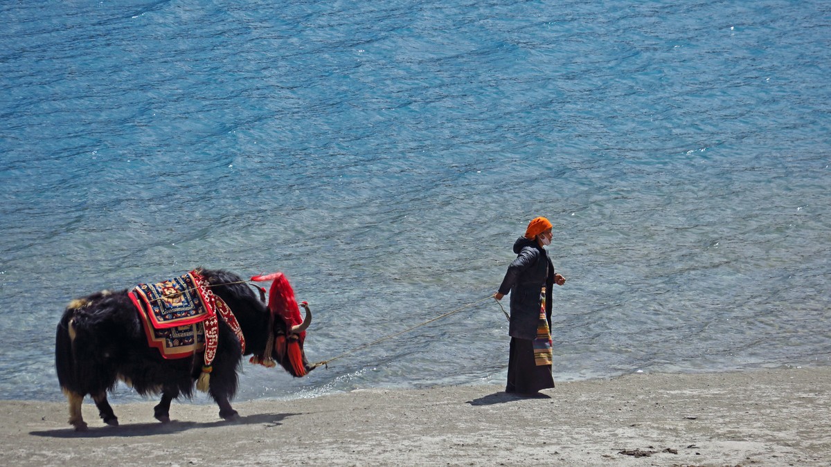 天上西藏------ 羊 卓 雍 措