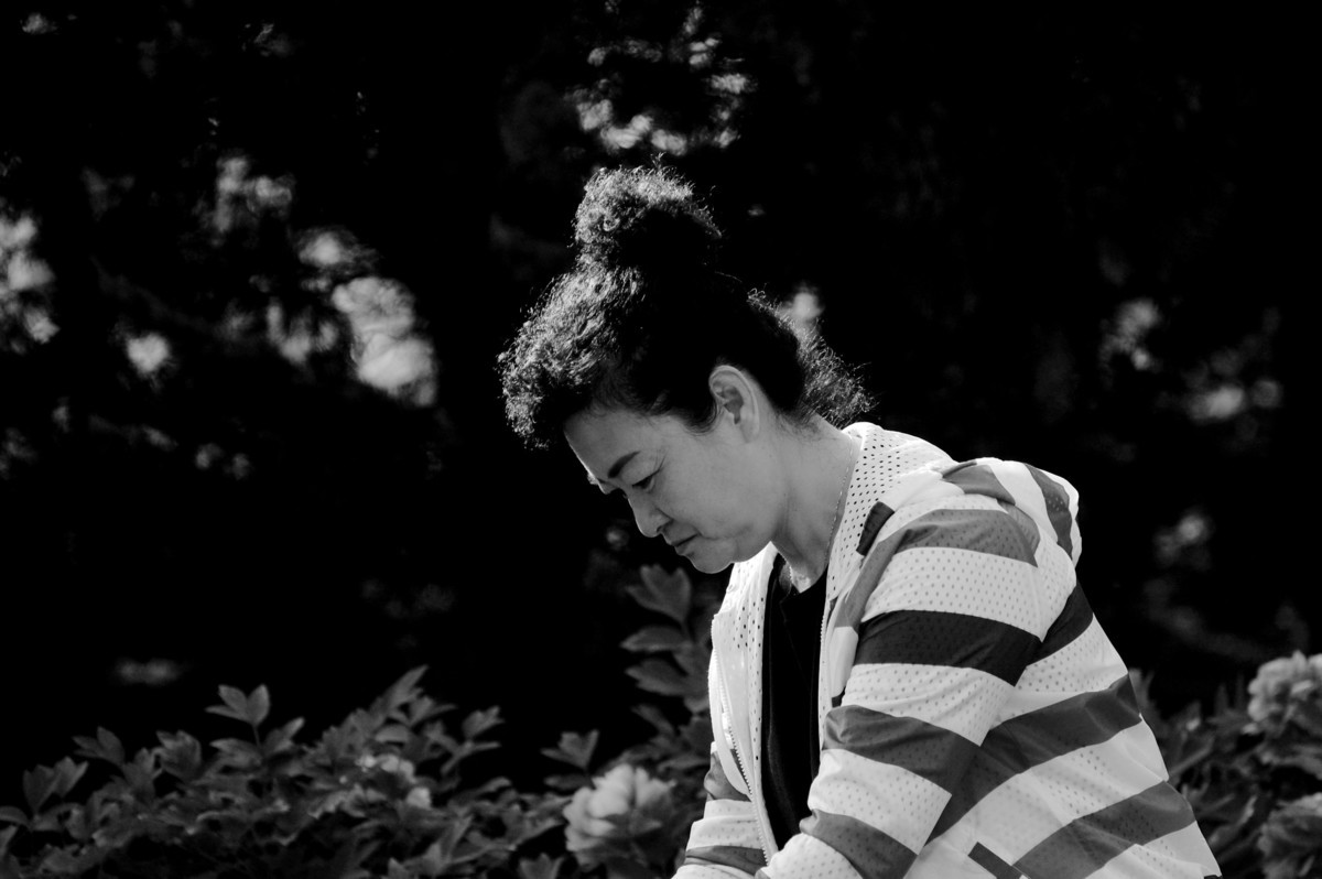 牡丹园里的女士们美