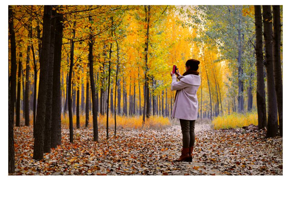 #ZOL月赛晒秋# —秋天的歌