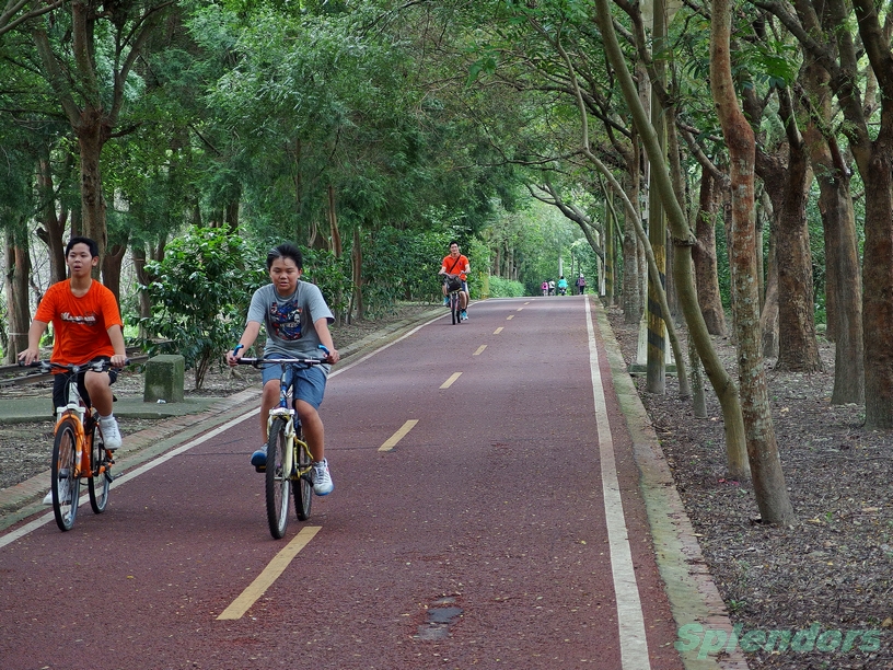 绿廊小径 / 花草,