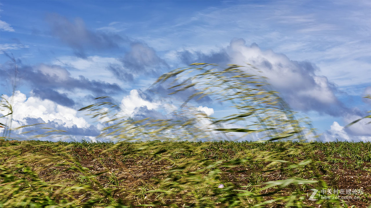 行摄巴巴多斯（看望逍遥等几位版主好友）