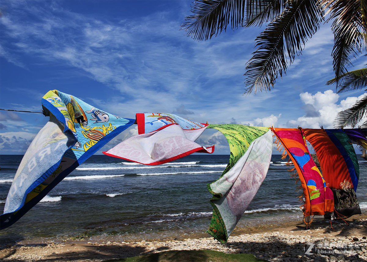 行摄巴巴多斯（看望逍遥等几位版主好友）