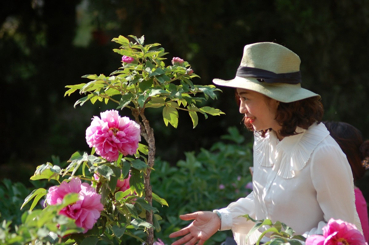 牡丹园里的女士们美