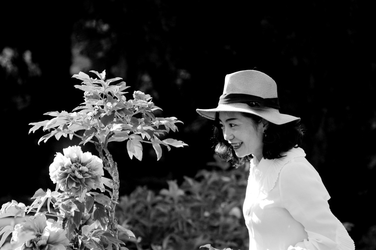 牡丹园里的女士们美