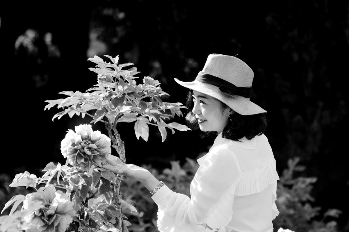 牡丹园里的女士们美