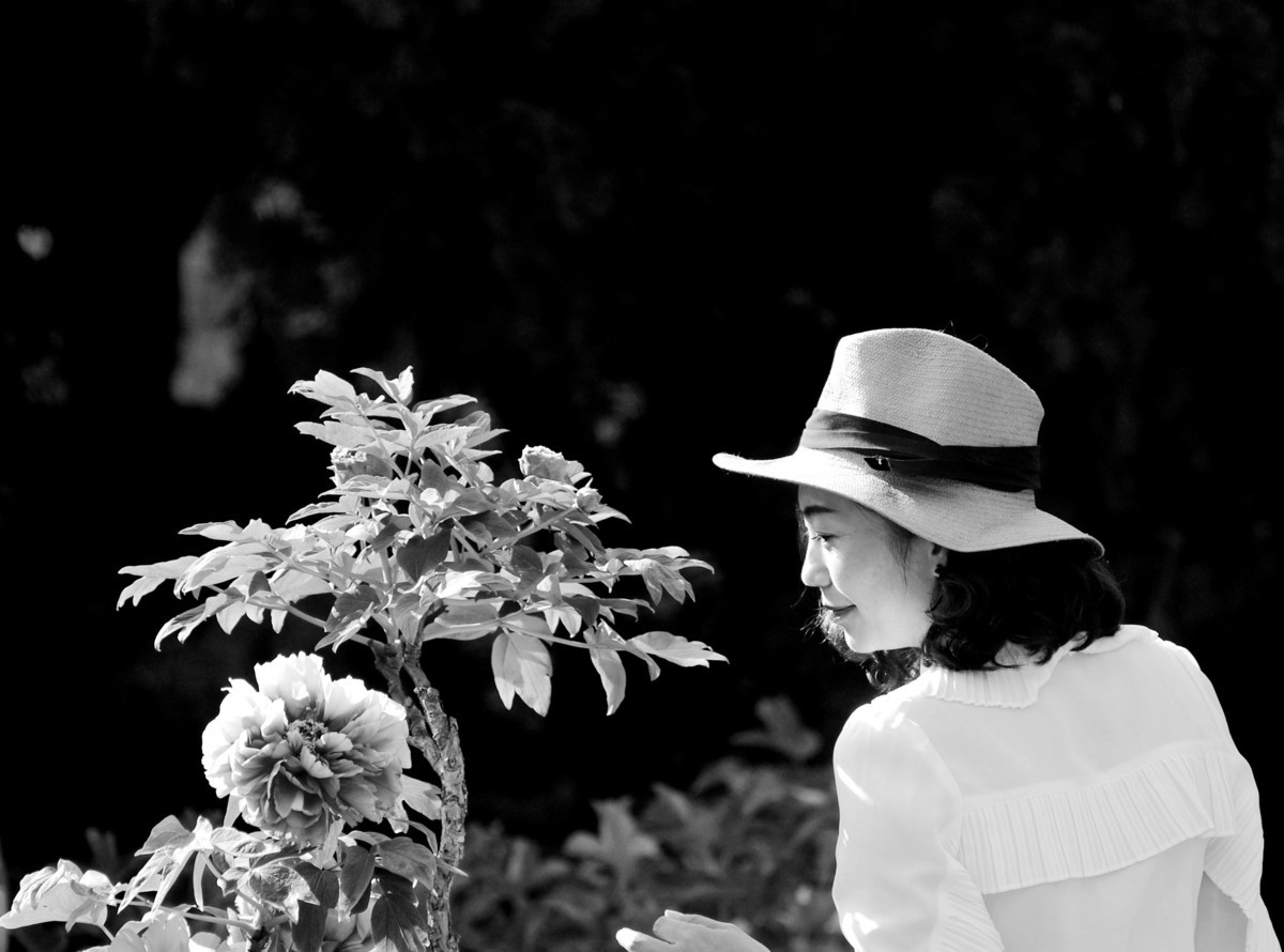 牡丹园里的女士们美