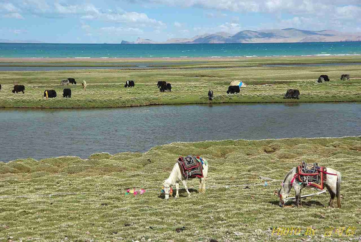 纳木错湖风光