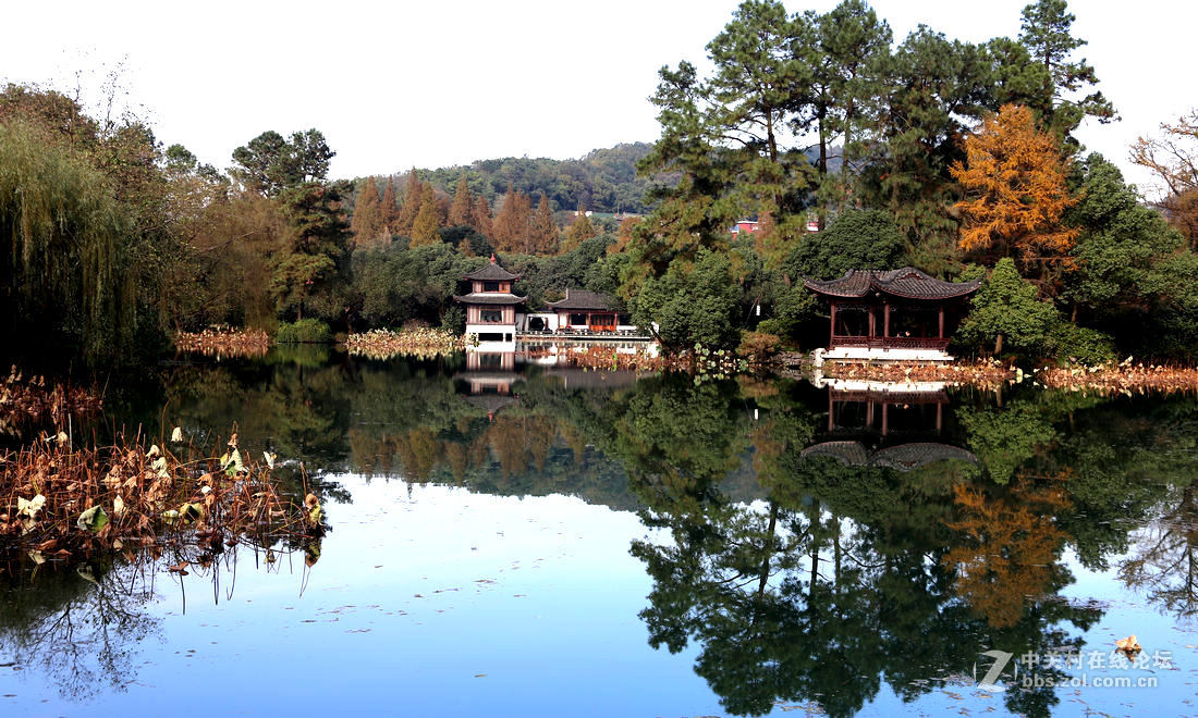 冬季的曲院风荷风景