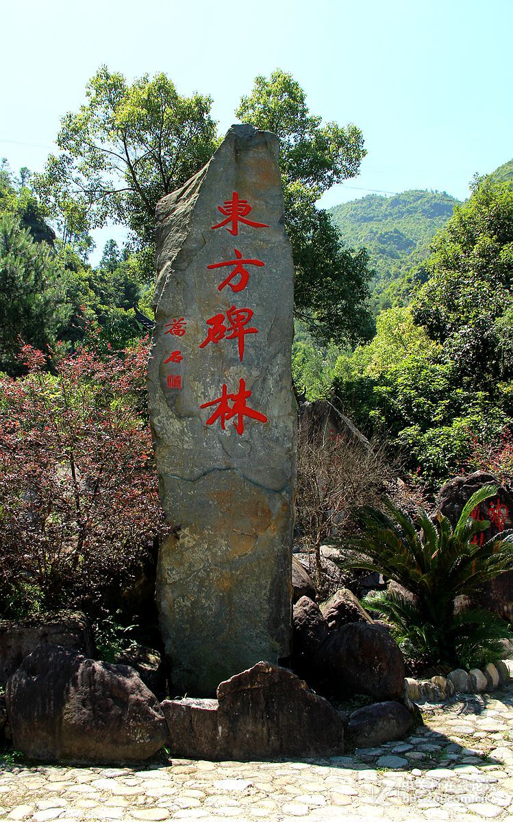 青田千丝岩风景区图片