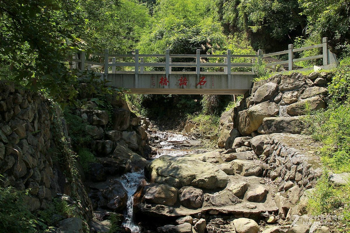 青田千丝岩图片