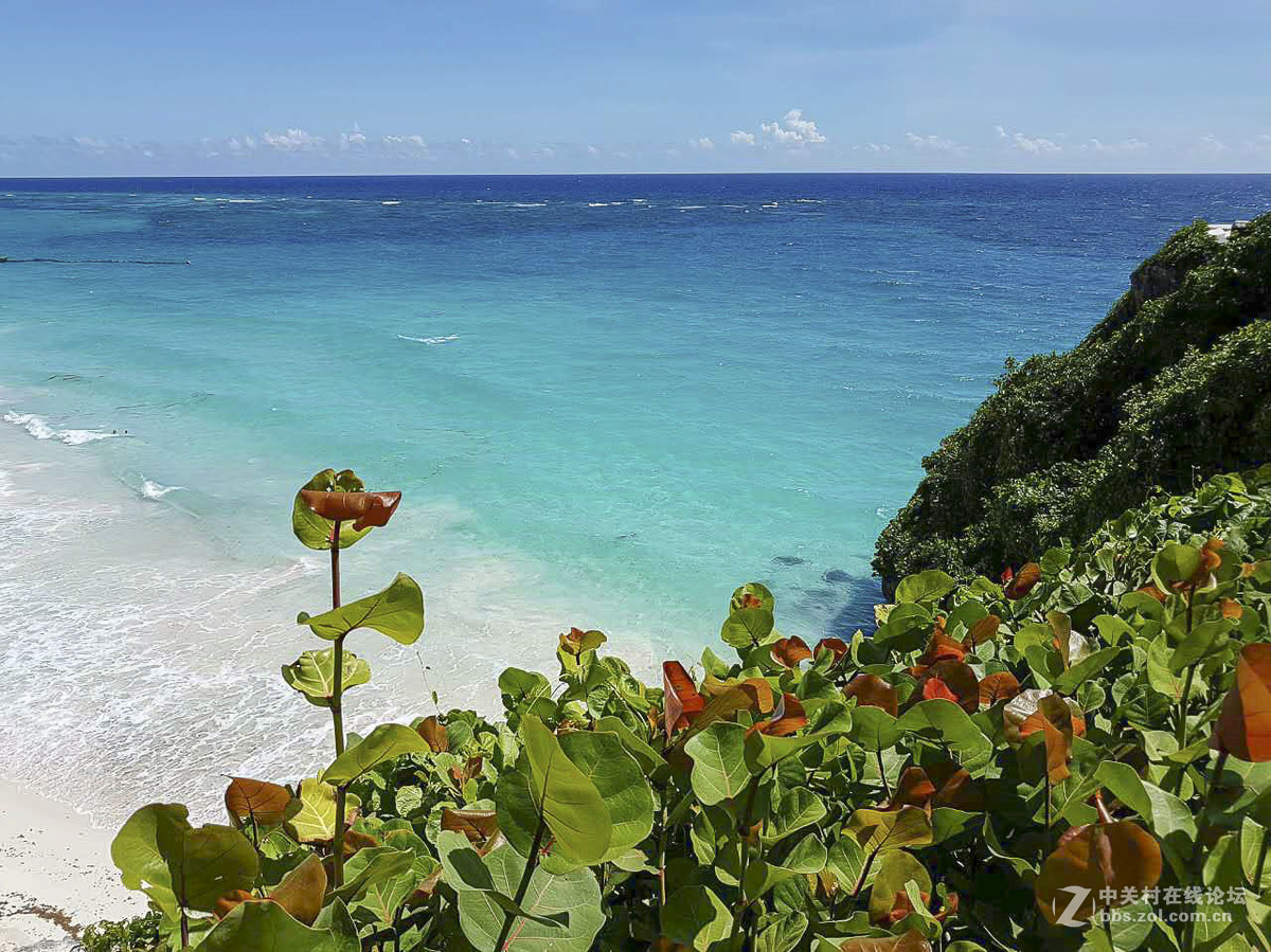 行摄巴巴多斯（看望逍遥等几位版主好友）