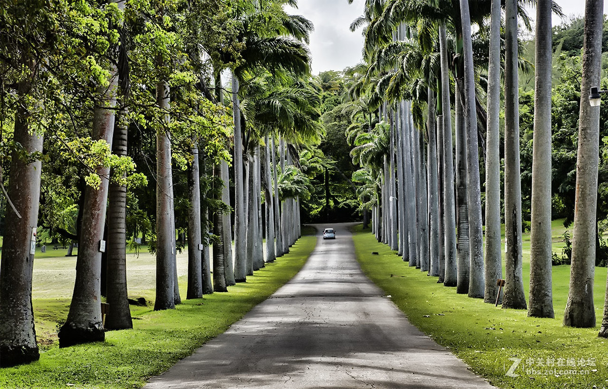行摄巴巴多斯（看望逍遥等几位版主好友）