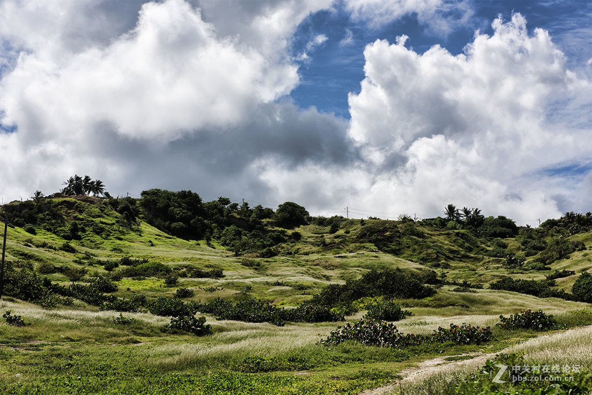 行摄巴巴多斯（看望逍遥等几位版主好友）