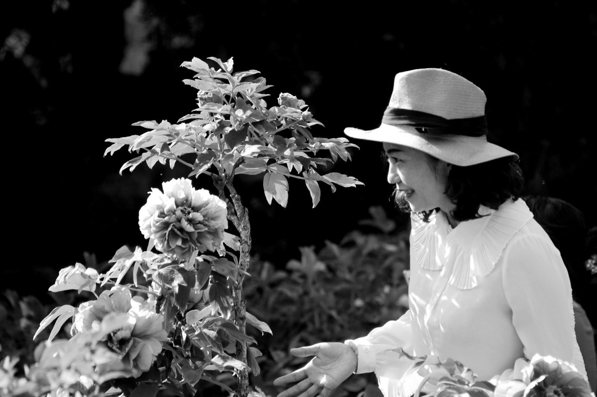 牡丹园里的女士们美