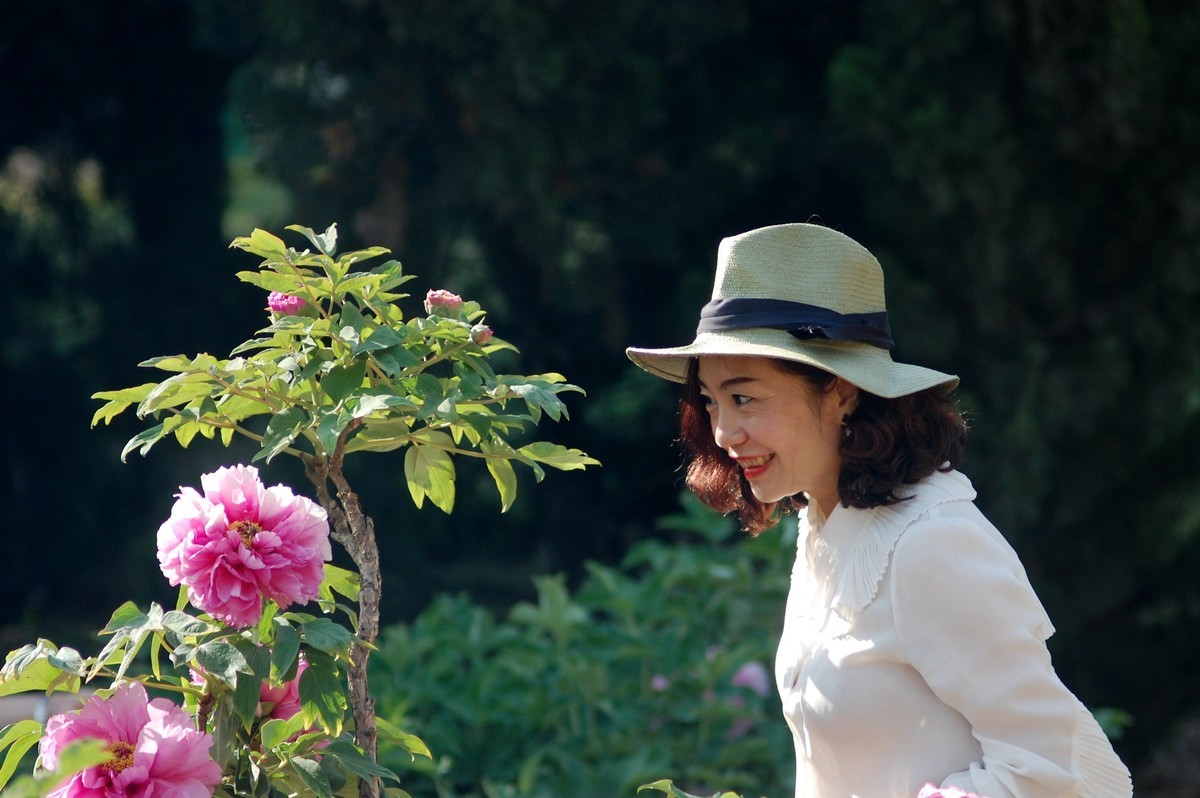 牡丹园里的女士们美