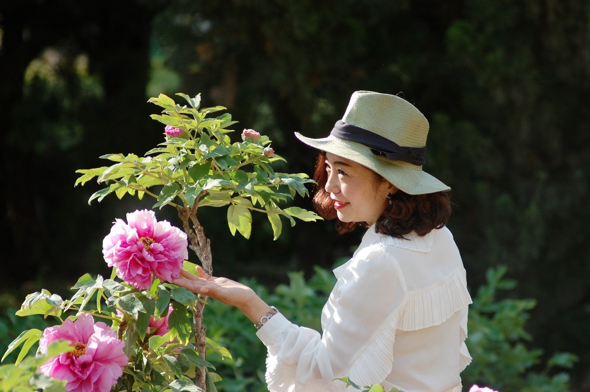牡丹园里的女士们美