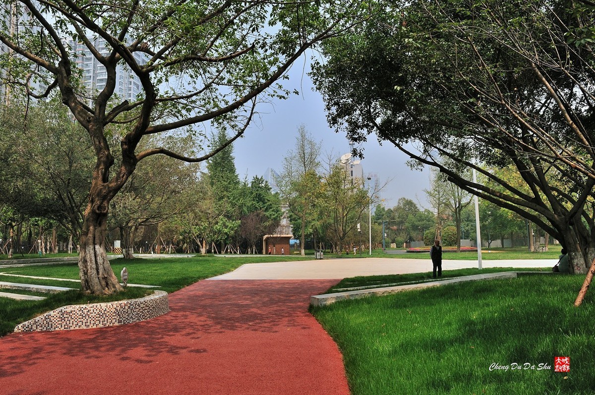 成都新華公園重新開園遊拍上