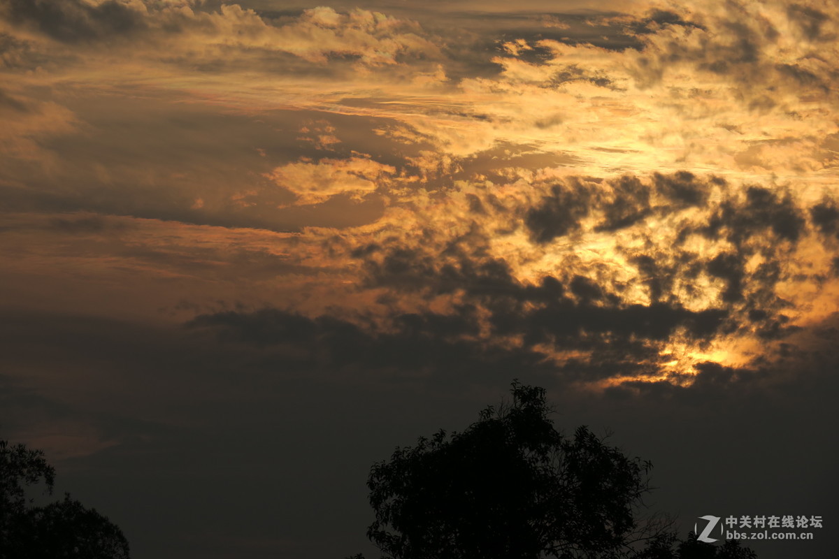 顺手拍――晚霞