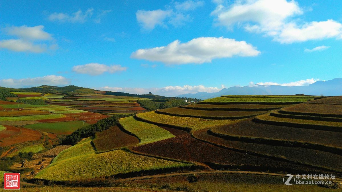 云南风光～东川.红土地(华为手机Chel-C10拍摄)续2