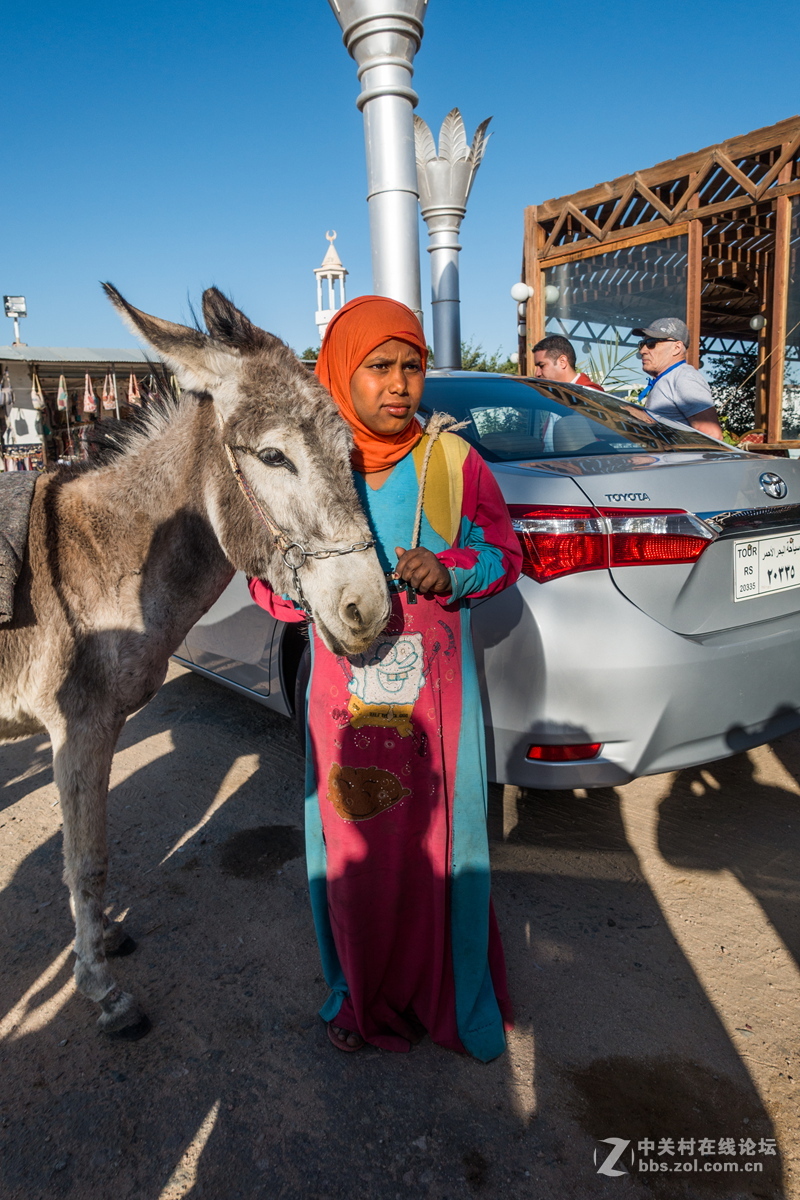 埃及的高速路服务区