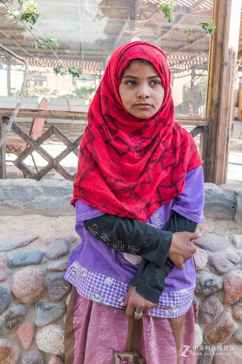 埃及的高速路服务区