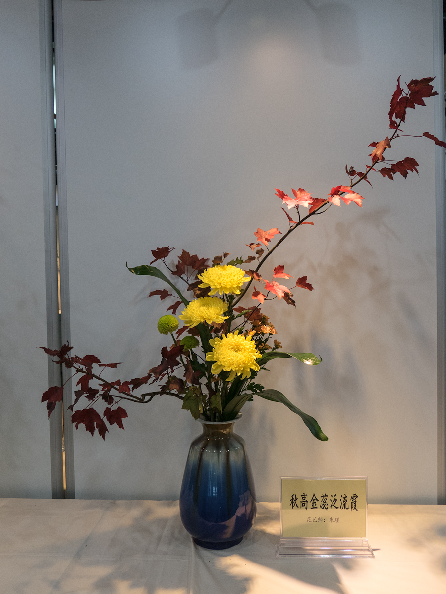 菊花插花艺术展