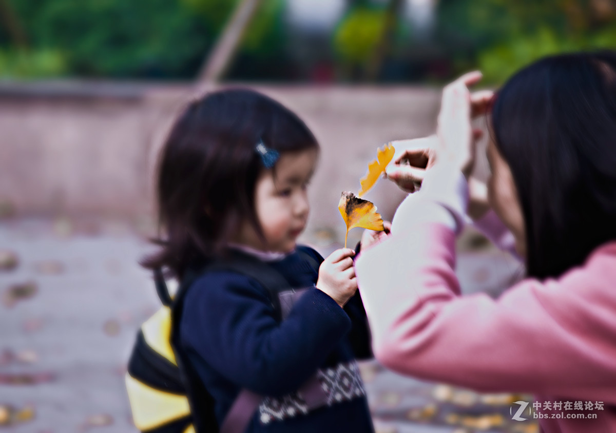 片片落叶片片浪漫片片情