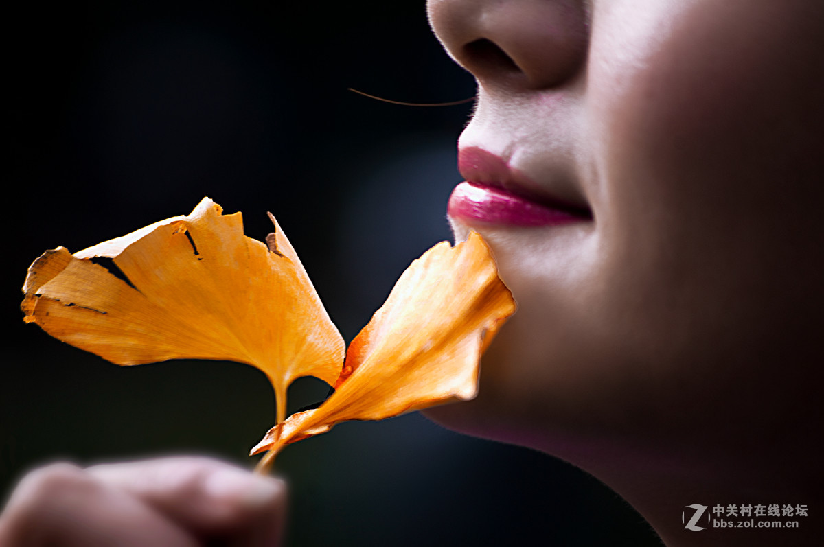 片片落叶片片浪漫片片情