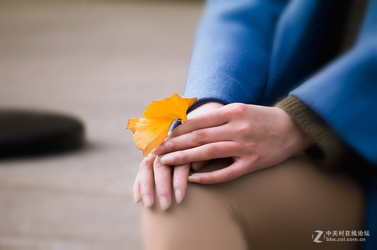 片片落叶片片浪漫片片情
