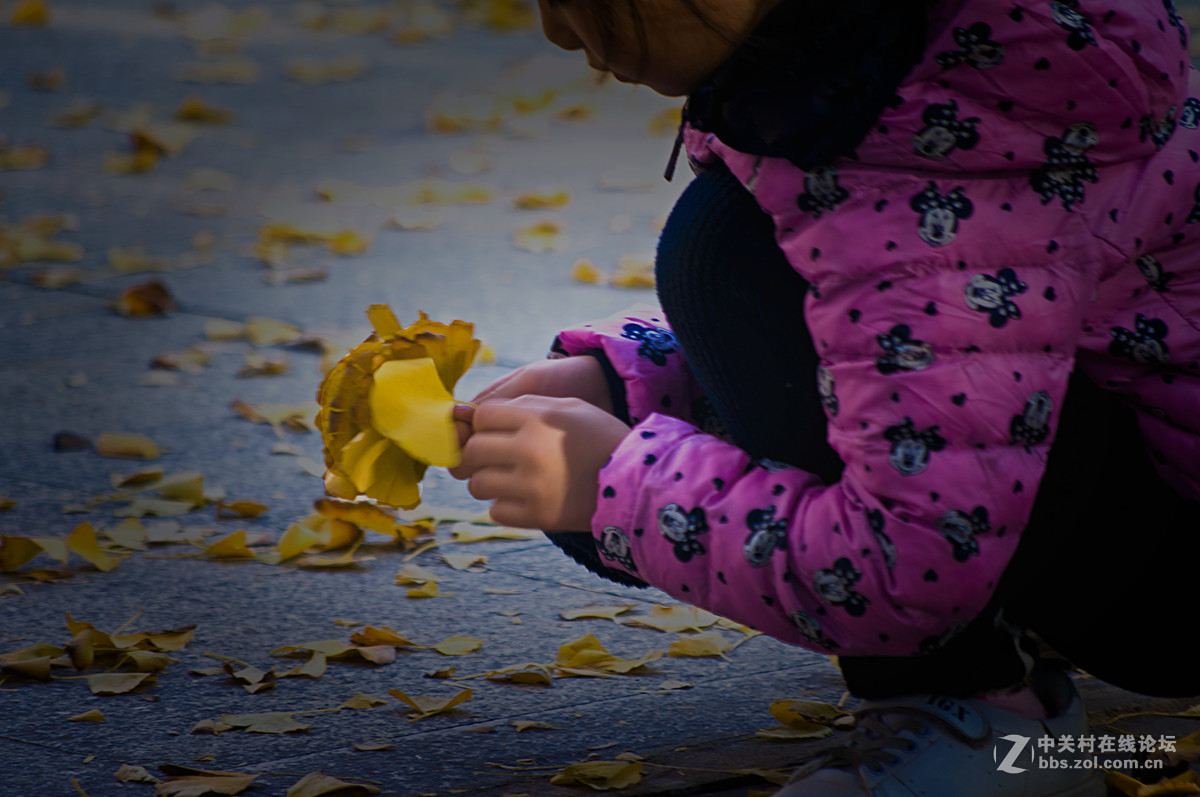 片片落叶片片浪漫片片情