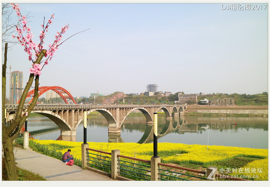 卡片转M3新手试机  四川广安城北河边油菜花
