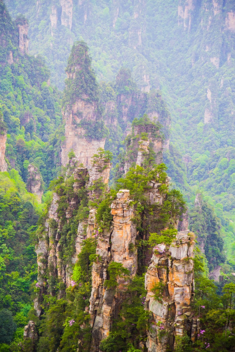 张家界武陵源石峰林