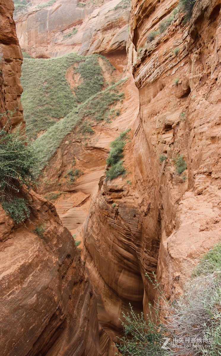 #佳能EOS M6-定格光影# 龙舟丹霞地貌景区六