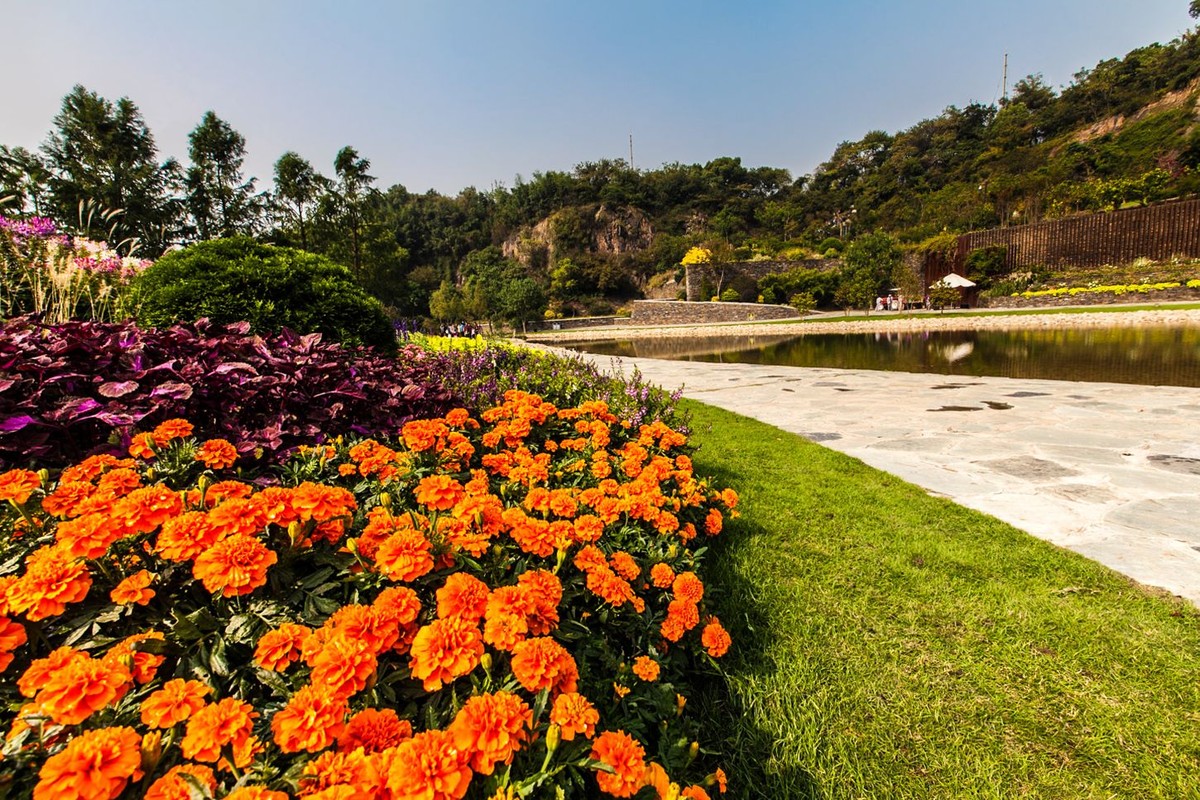 上海辰山植物园3