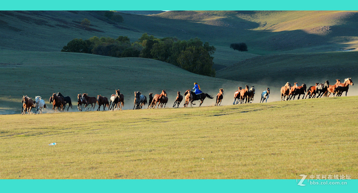 2015金秋乌兰布统摄影采风《群马奔驰》