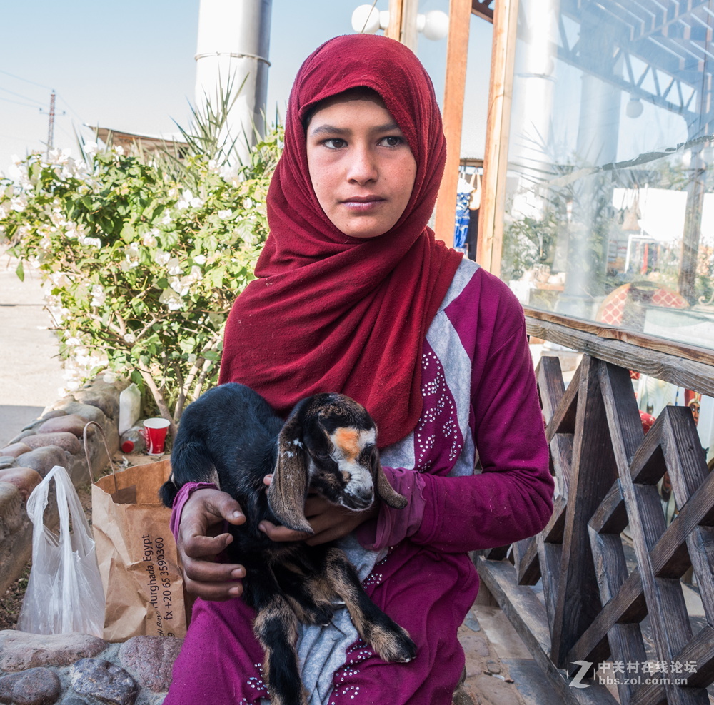 埃及的高速路服务区