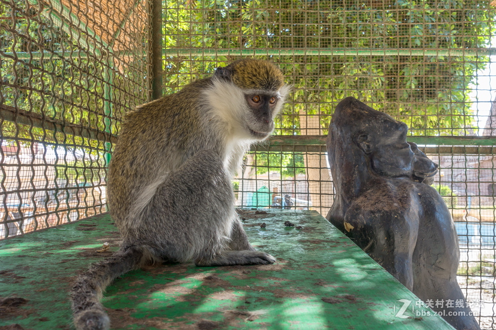 埃及的高速路服务区