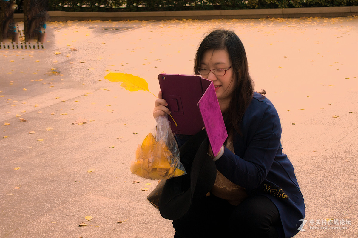 片片落叶片片浪漫片片情