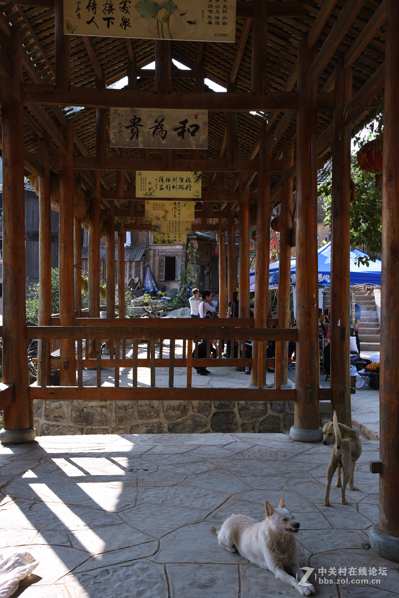 最后的枪手部落——岜沙苗寨（2）：极具民族特色的建筑