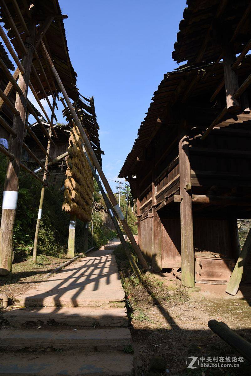 最后的枪手部落——岜沙苗寨（2）：极具民族特色的建筑